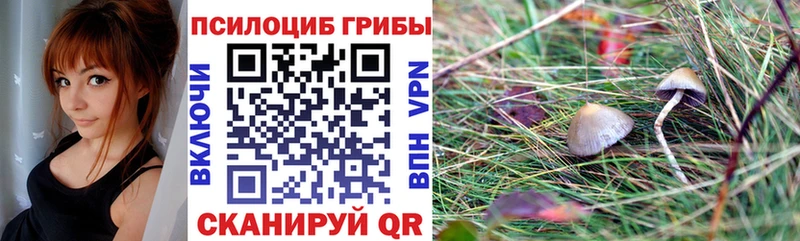 Купить где  Серпухов  Галлюциногенные грибы мухоморы 